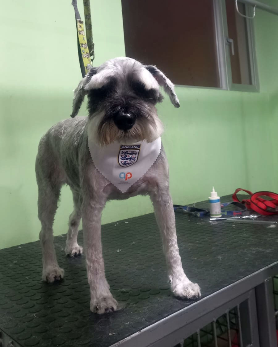 agapets001
