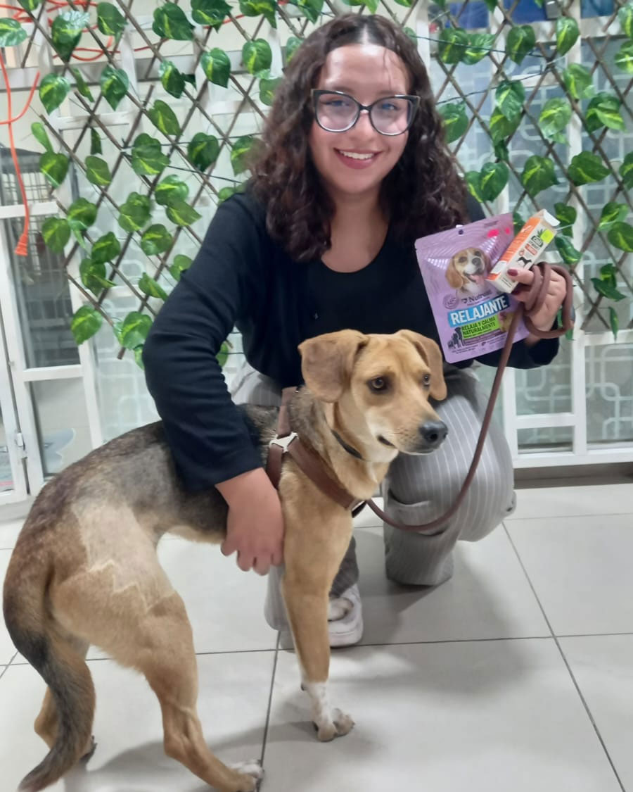agapets006